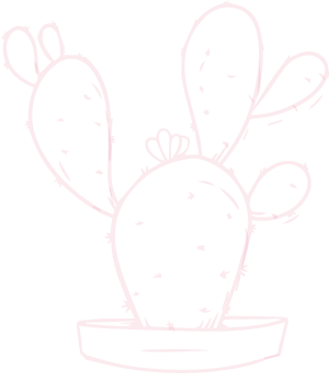 Cactusbioskin